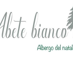 Abete Bianco - Albergo del Natale